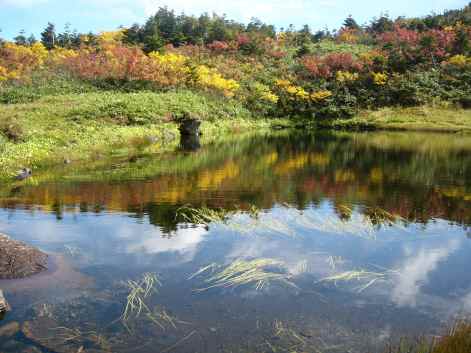 黒岩平付近の池塘の画像