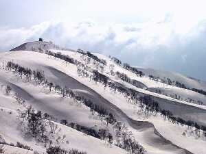 これは、昨年の白鳥山 02.3.31 photo by shun これは、昨年の白鳥山 02.3.31 photo by shun