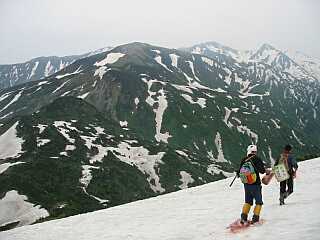 水平道から見る雪倉岳・白馬岳の山並み 02.6.18 photo by kouta 水平道から見る雪倉岳・白馬岳の山並み 02.6.18 photo by kouta