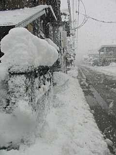 今朝の富山県地方は、大雪に見舞われた　　我が家の前で
