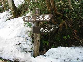 分岐の標識　　　　　03.4.22