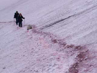 鉢ヶ岳の巻き道で 03.7.12 鉢ヶ岳の巻き道で 03.7.12