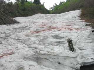 “通行止め”の看板が撤去された、水平道の分岐点