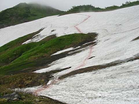 今日現在、“吹き上げのコル”直下の雪渓の様子