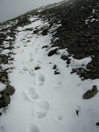 先を行かれたお客様の足跡が　　吹き上げのコル〜朝日岳山頂　