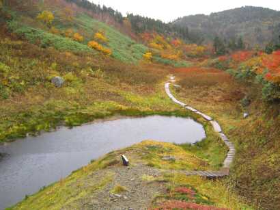 雨に煙る中、紅葉の素晴らしい水平道で　　　photo by kouta