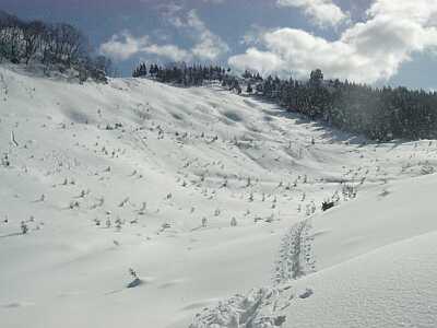 一面の雪原…「ぶどう原」　　　　04.1.31の画像