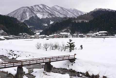 連絡所のすぐ裏から 05.2.7 連絡所のすぐ裏から 05.2.7の画像