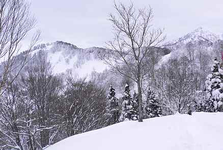 左に瀬戸蔵山（1,320ｍ）　　右奥に鍬崎山（2，089.7ｍ）の画像