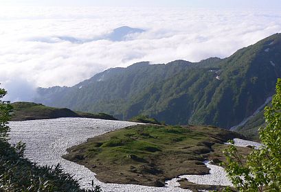 雲海の中、浮かぶ山は初雪山の画像