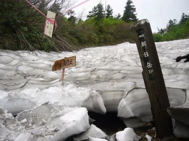 水平道の分岐点　　05.7.15の画像