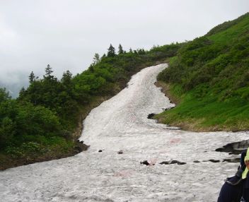 まだ雪が残る「水平道」 05.7.24 まだ雪が残る「水平道」 05.7.24の画像