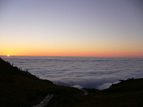 どこまでも続く雲海に沈む夕陽の画像