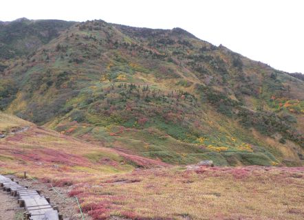 朝陽が上がる直前、今朝の朝日岳　　　の画像