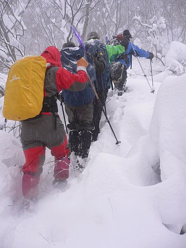 雪質が変わり、急登も 口三方岳にて 05.12.10 雪質が変わり、急登も 口三方岳にて 05.12.10の画像
