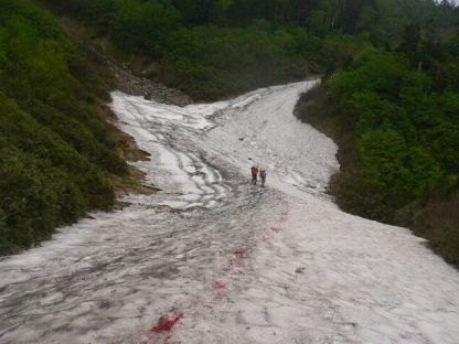 水平道の様子の画像