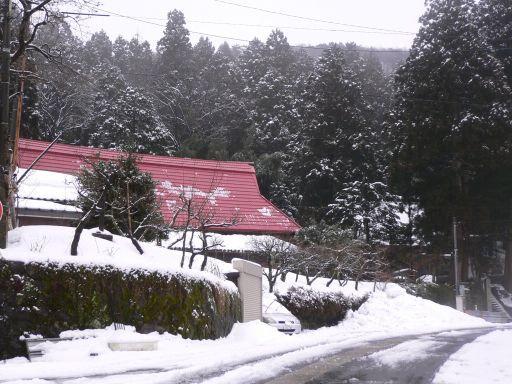 笹川の風景　　連絡所のすぐ近く　　06.2.7の画像