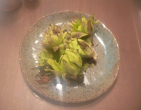 今度は、土の中から生えているのを撮ってきますネ! 今度は、土の中から生えているのを撮ってきますネ! の画像