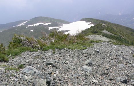 青ザク付近から、花園三角点方向　　　06.6.29の画像