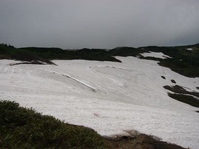 今日の様子　　吹き上げのコルを下って、八兵衛平付近を見る　　　の画像