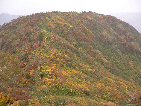 下山日の、恵振山　　　“馬の背”付近から　　06.10.11の画像