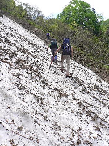 訓練初日は、林道でなく、谷沿いに歩いた　　　06.5.27の画像