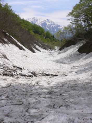 越道峠から北又方面へ下がったところ、未だかなりの雪　　　06.5.27の画像