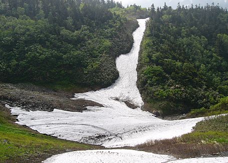 ７月９日時点の、水平道の様子の画像