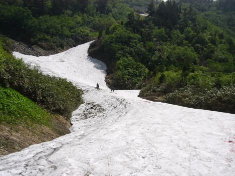 「水平道」、最近の様子　　　07.7.9の画像