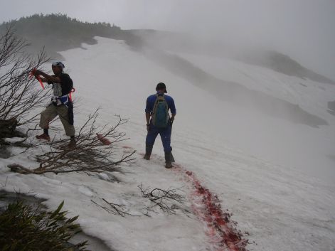 蓮華温泉方面、「吹き上げのコル」付近から下部、現在の様子　　　07.7.9　　の画像