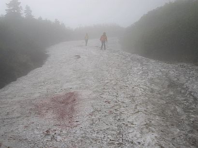 今日の、「水平道」の画像