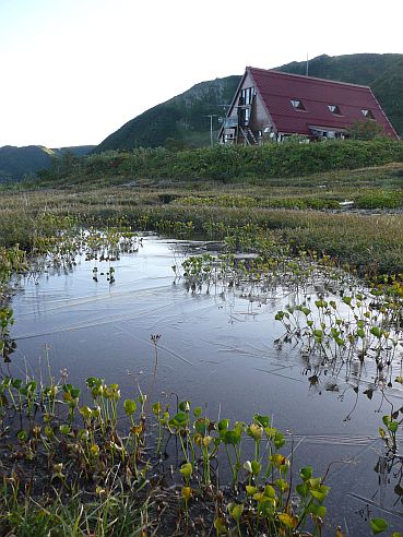 今シーズン初めて、薄氷張る　　　今朝の朝日平にての画像