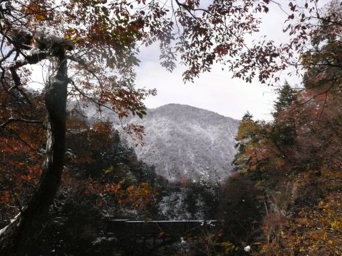 黒薙温泉への山道から見る、雪を被った宇奈月の山　　　07.11.23の画像