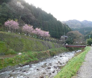 連絡所の裏手近く　　奥に見えるのは、南保富士などの画像