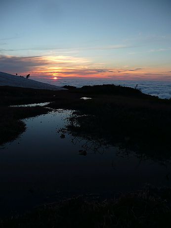 言葉は、いらない…の画像