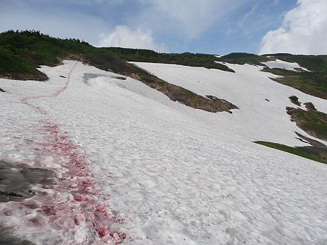 吹き上げのコルから、八兵衛平方向　　　08.7.15の画像