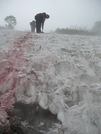 歩き易いように、雪の急斜面にステップを切る 歩き易いように、雪の急斜面にステップを切るの画像