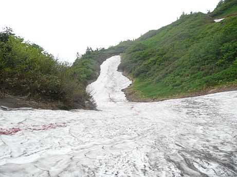 今日の、水平道 今日の、水平道の画像