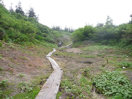 雪が消えた、水平道と山頂廻りの分岐点辺りの画像