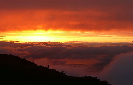 今日の夕焼け　　雲海の間からの画像