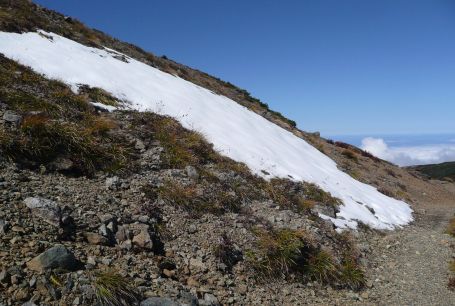 朝日岳山頂から、吹き上げのコルに向けての登山道で 朝日岳山頂から、吹き上げのコルに向けての登山道での画像