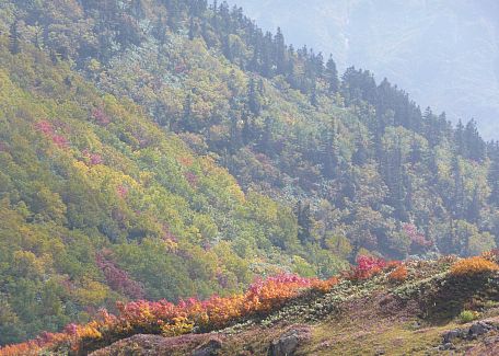 朝日平から、水平道方面を見るの画像