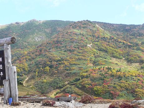 朝日平から、山頂方面 朝日平から、山頂方面の画像