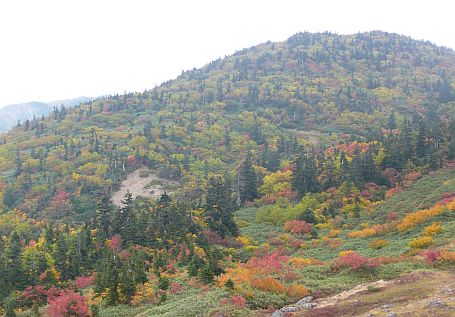 夕日ヶ原から振り返る　　前朝日岳の紅葉も見事の画像