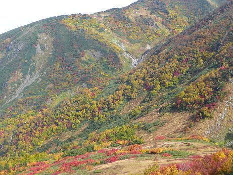 朝日岳の北西斜面の様子　　小屋の裏手からの画像