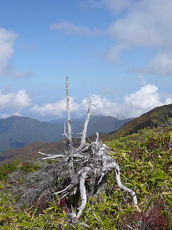 無題　　　08.10.8の画像