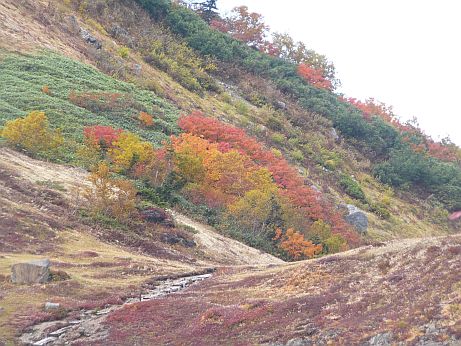 小屋の前から、“バンザイの丘”を見るの画像