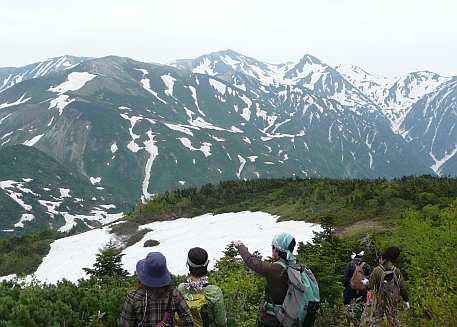 朝日岳山頂から水平道分岐に向かう 09.6.29 写真