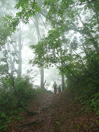恵振山5合目辺り 写真
