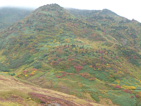 今日の朝日平から見た、朝日岳 紅葉は、かなり進んでいる 写真